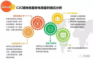 2017上半年中國精神類服務(wù)電商市場研究報告 信息咨詢服務(wù)分析